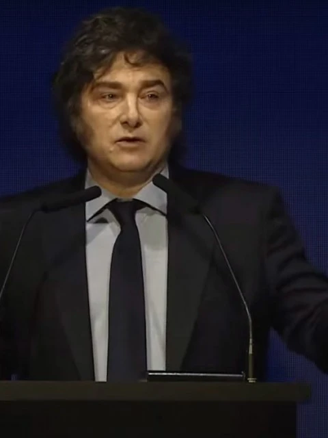 Milei: "Elon Musk está en contacto con Sturzenegger para replicar la motosierra"
