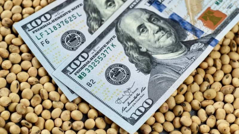 Ingreso de divisas: proyectan que el agro aportaría US$30.800 millones en 2025
